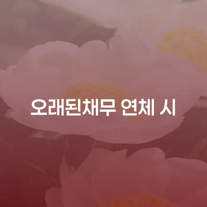 대출 연체 5일 대출 연체 개인회생 필수로 알아야하는 부분