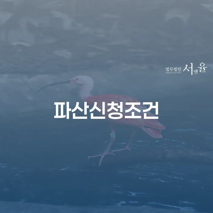 대부업체연체 개인회생 문제해결방법 신청무료상담