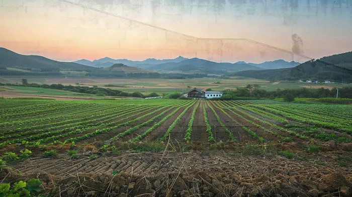 회생비용 저렴하고 분납이 가능한