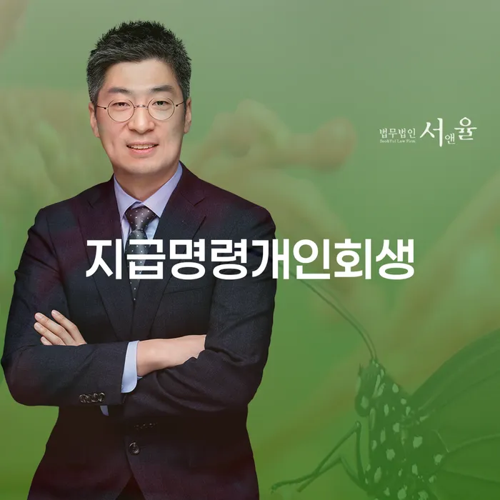 개인회생금지명령 워크아웃 과정을