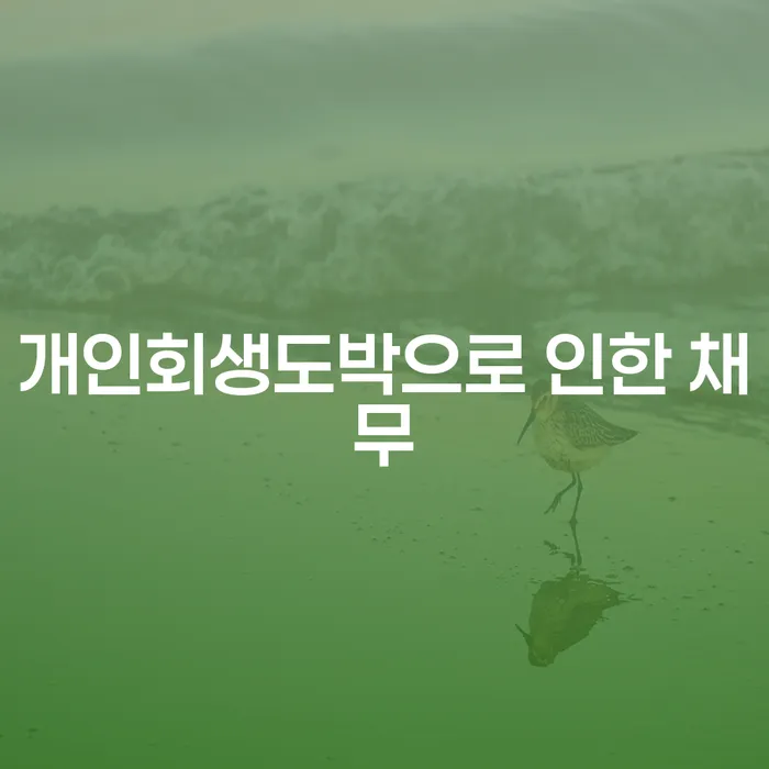 개인회생무료법률상담센터 대출 받은 돈채무조정 문제를 해결