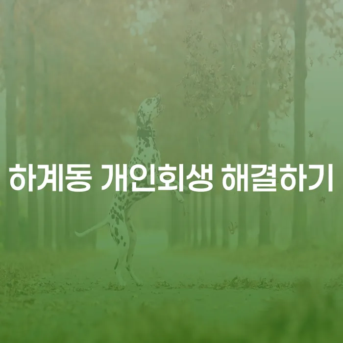 하계동 개인회생 해결하기