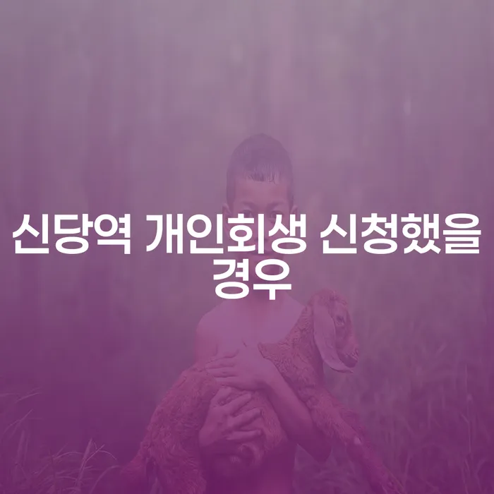 신당역 개인회생 신청했을 경우