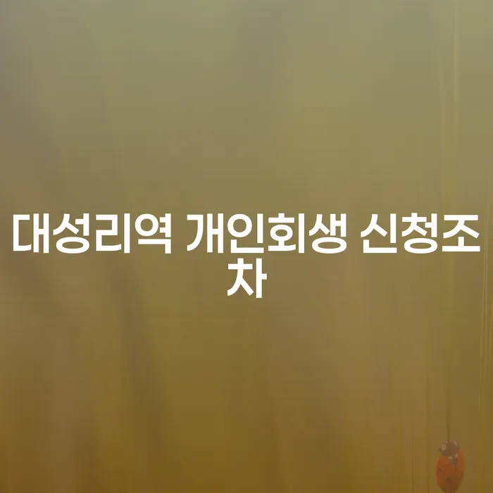 대성리역 개인회생 신청조차