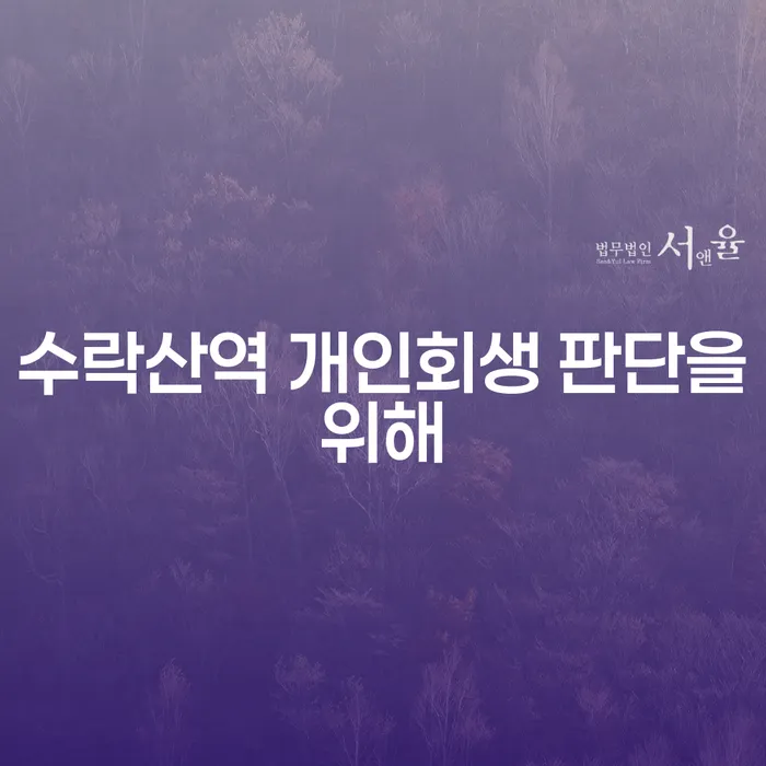 수락산역 개인회생 판단을위해
