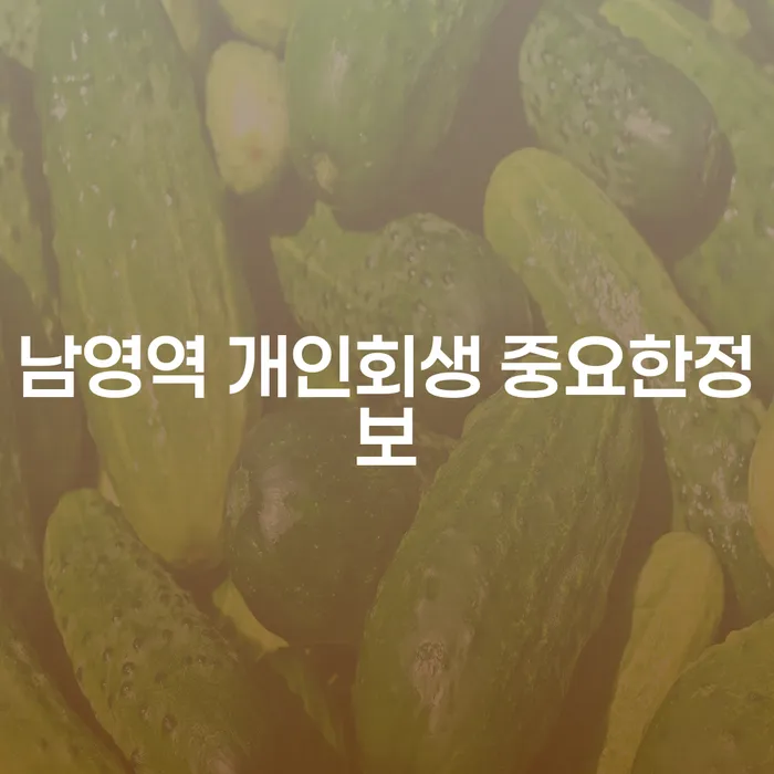 남영역 개인회생 중요한정보