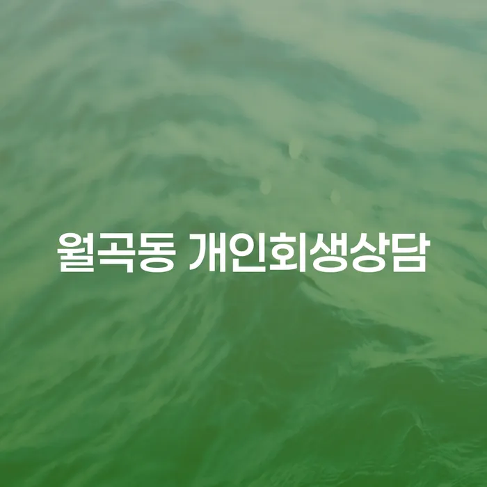 월곡동에서 개인회생 상담, 어디서 시작해야 할까요?
