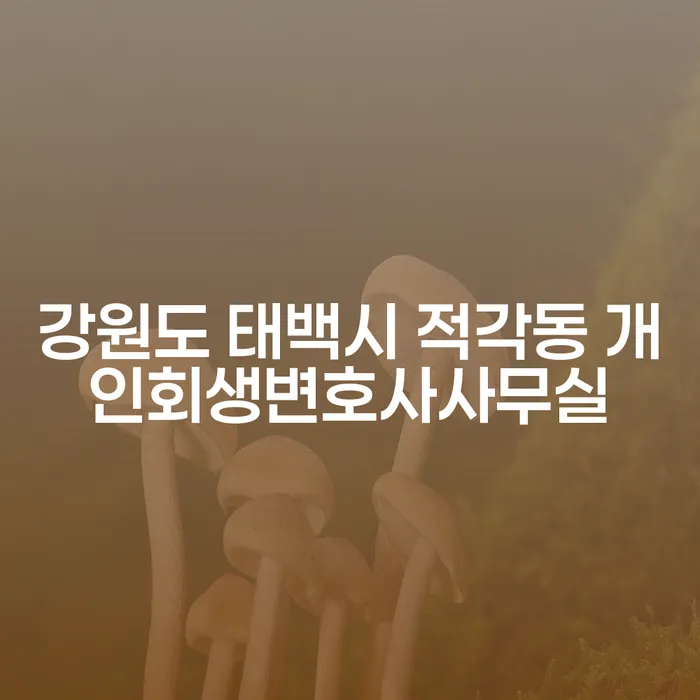 강원도 태백시 적각동에 거주하는 분들을 위한 개인회생 및 연체 대출 해결 방법은?