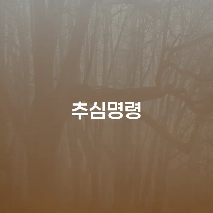 추심명령과 개인회생 조건: 채무 해결을 위한 최선의 선택은?