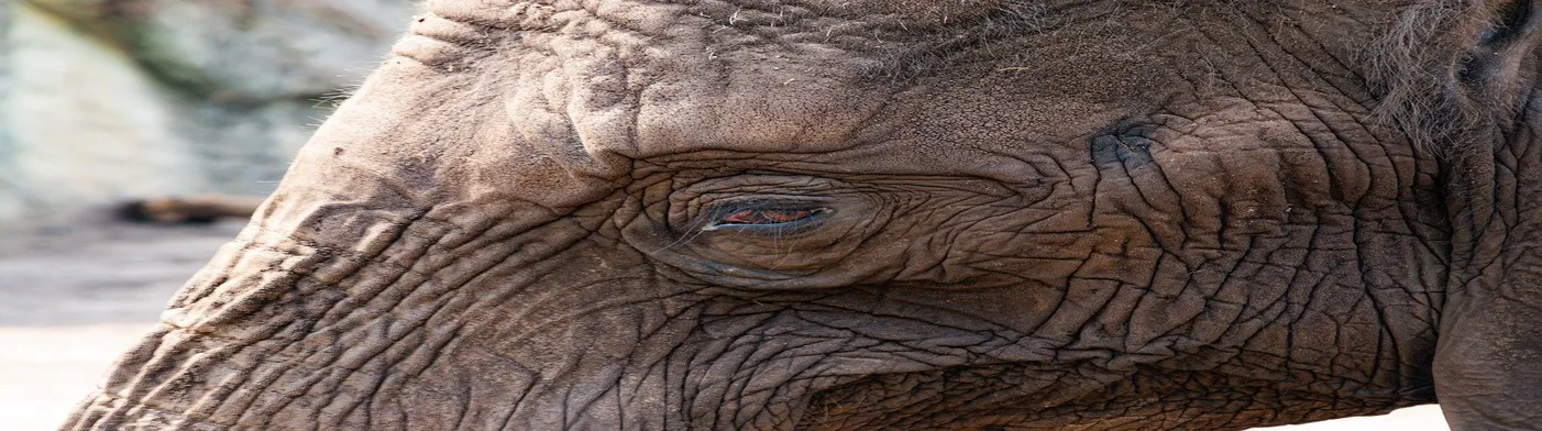 법무법인 서앤율