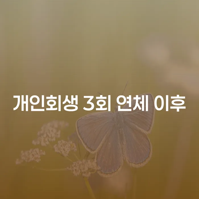 개인회생 3회 연체 이후, 어떻게 해야 할까요?