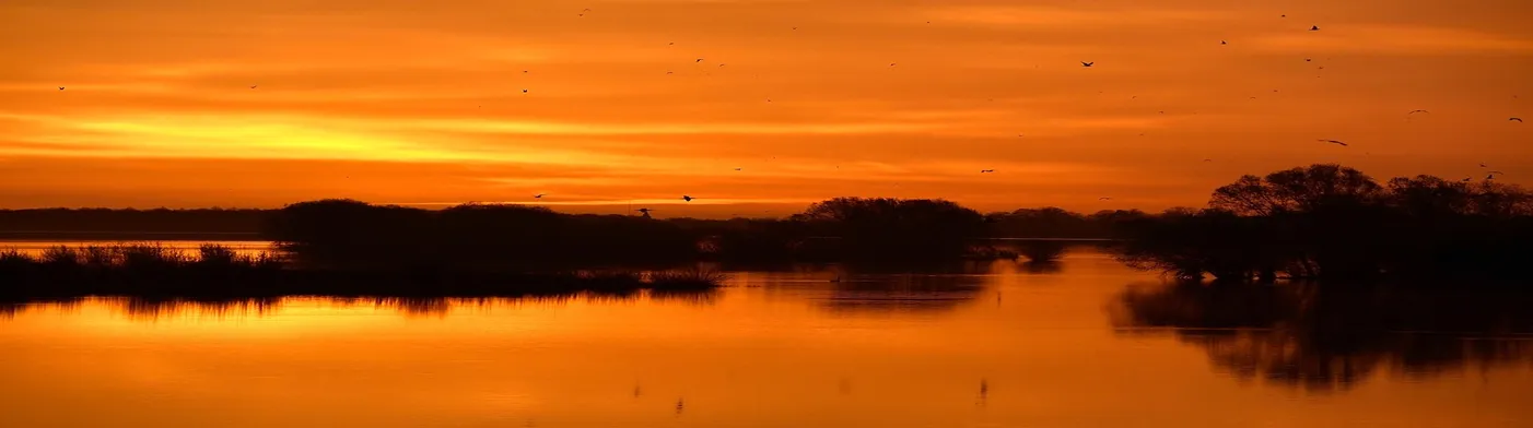 법무법인 서앤율